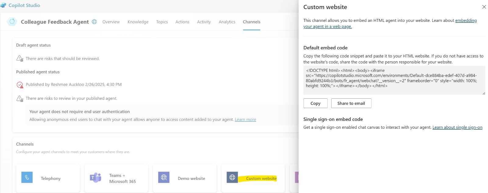 Custom Web Site
